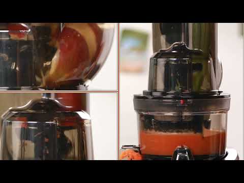 REVO830 Slow Juicer — 15-Year Warranty | All-in-One System