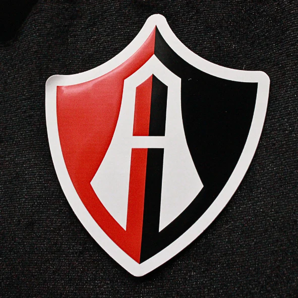 STICKER VINIL CON BARNIZ 3D