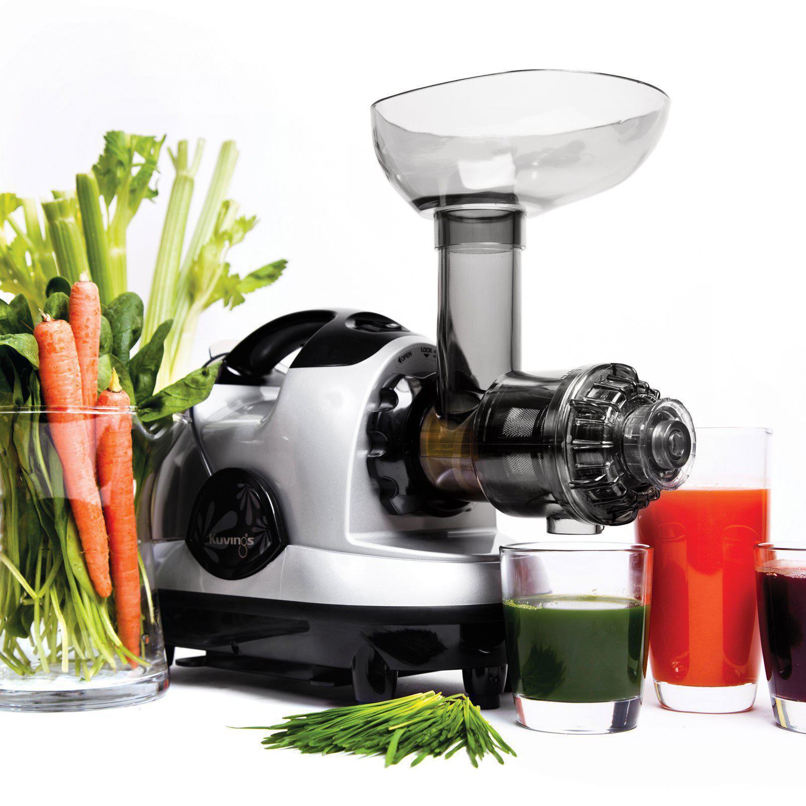 NJE Horizontal Masticating Juicer — 5-Year Warranty
