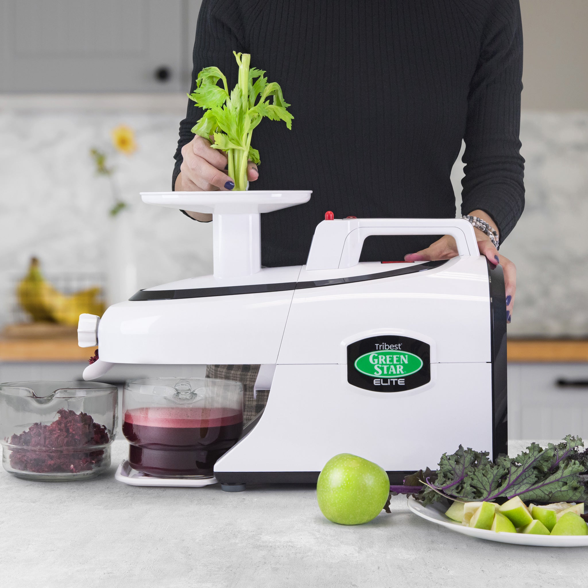 Greenstar® Elite Jumbo Twin Gear Slow Juicer