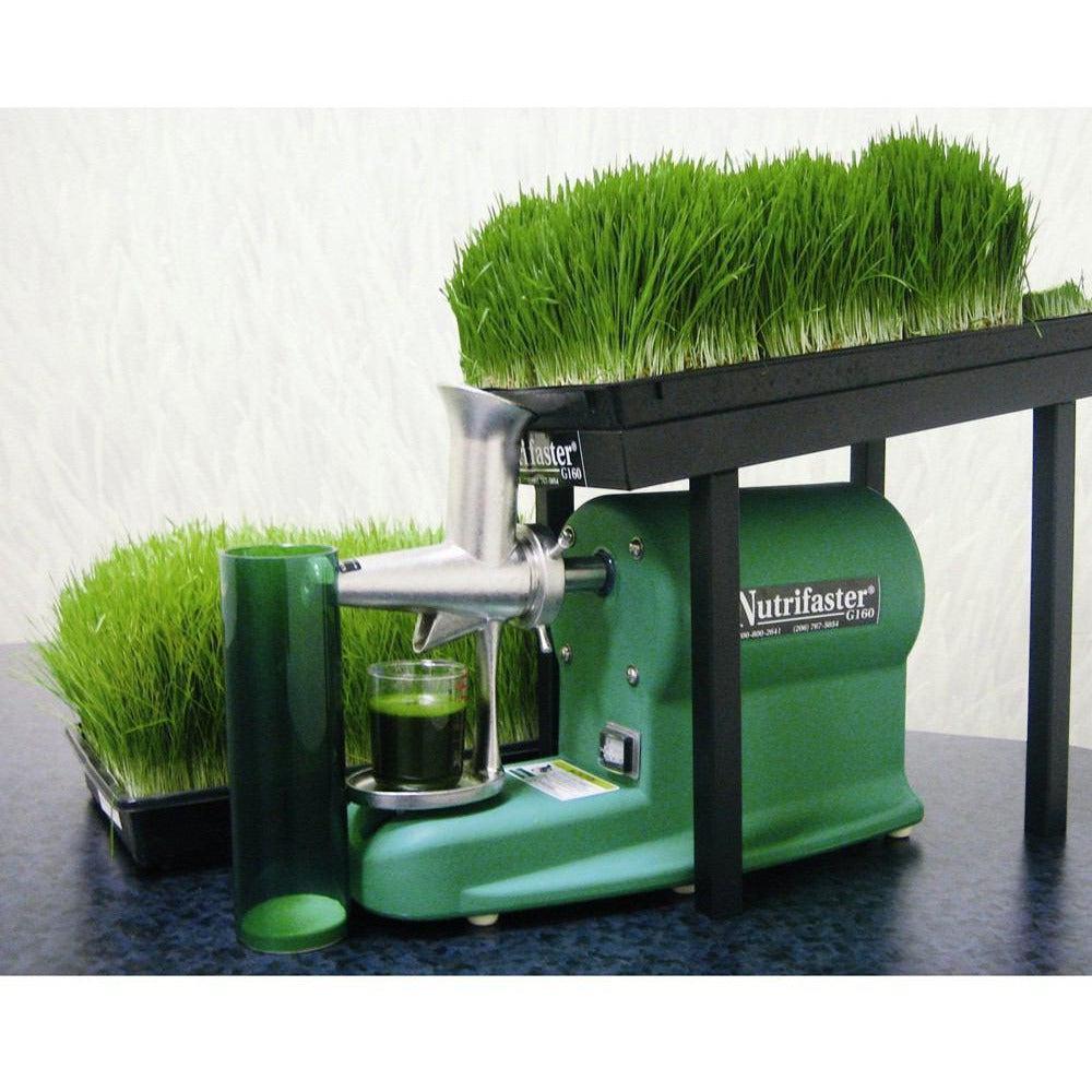 Nutrifaster G160 Commercial Wheatgrass Juicer — Heavy-Duty Motor | Made in USA