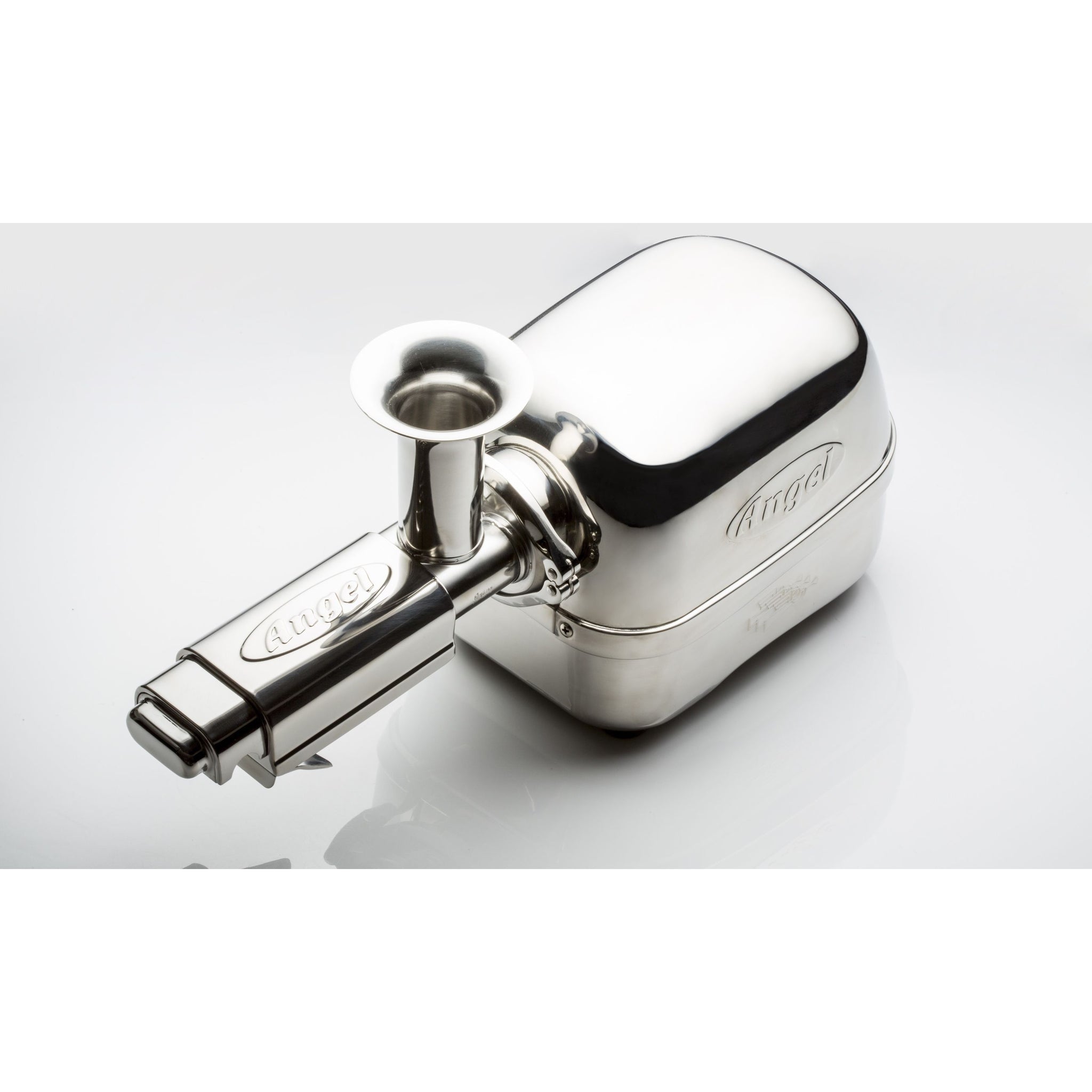 Angel Juicer 5500 Twin Gear Stainless Steel Juicer
