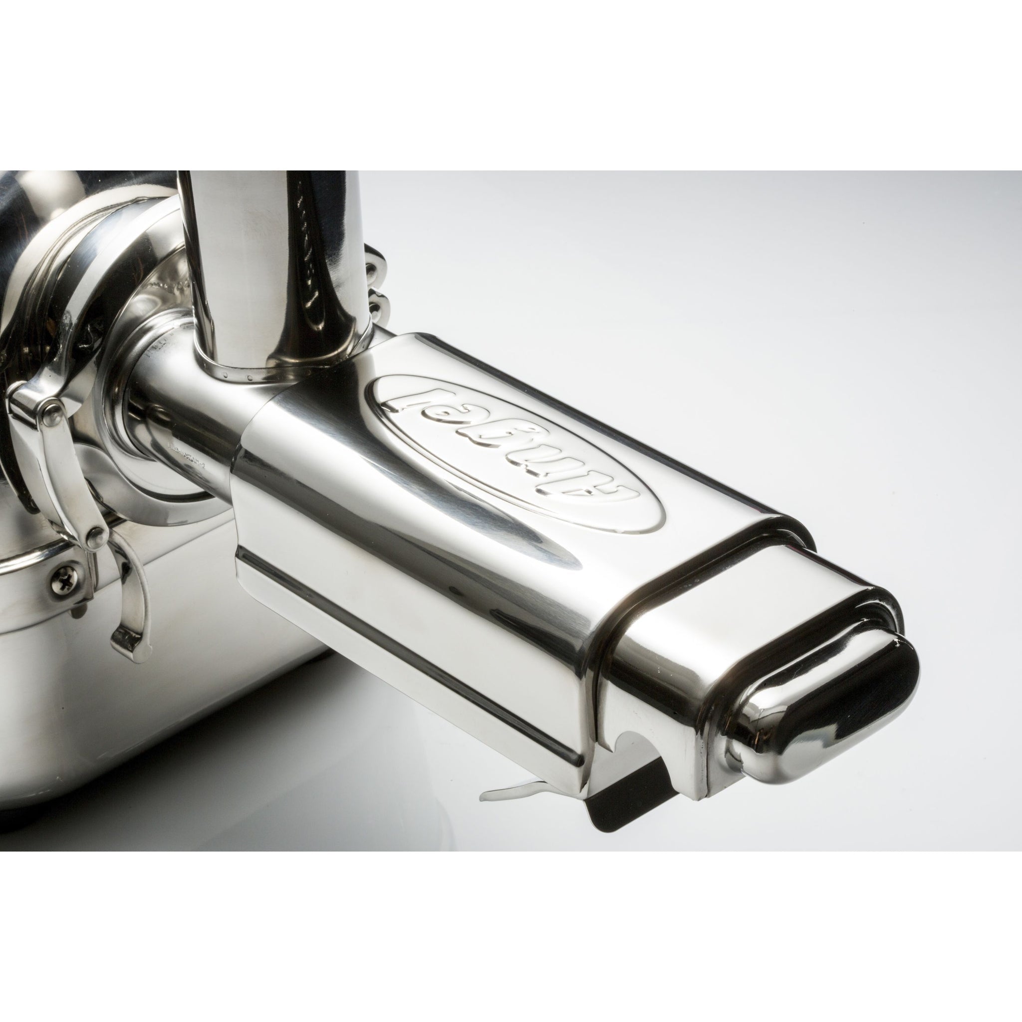 Angel Juicer 5500 Twin Gear Stainless Steel Juicer